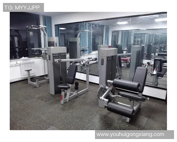 全面解析健身器材的种类与功能助你打造完美身材